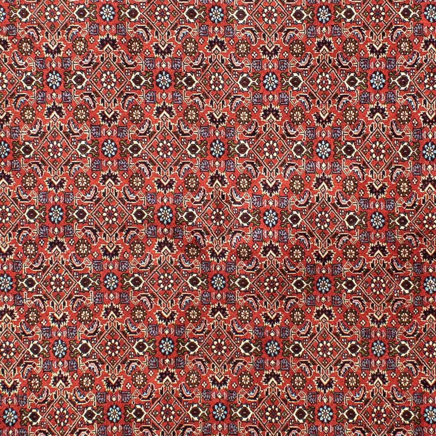 Tapis persan - Bidjar - 288 x 202 cm - rouge clair