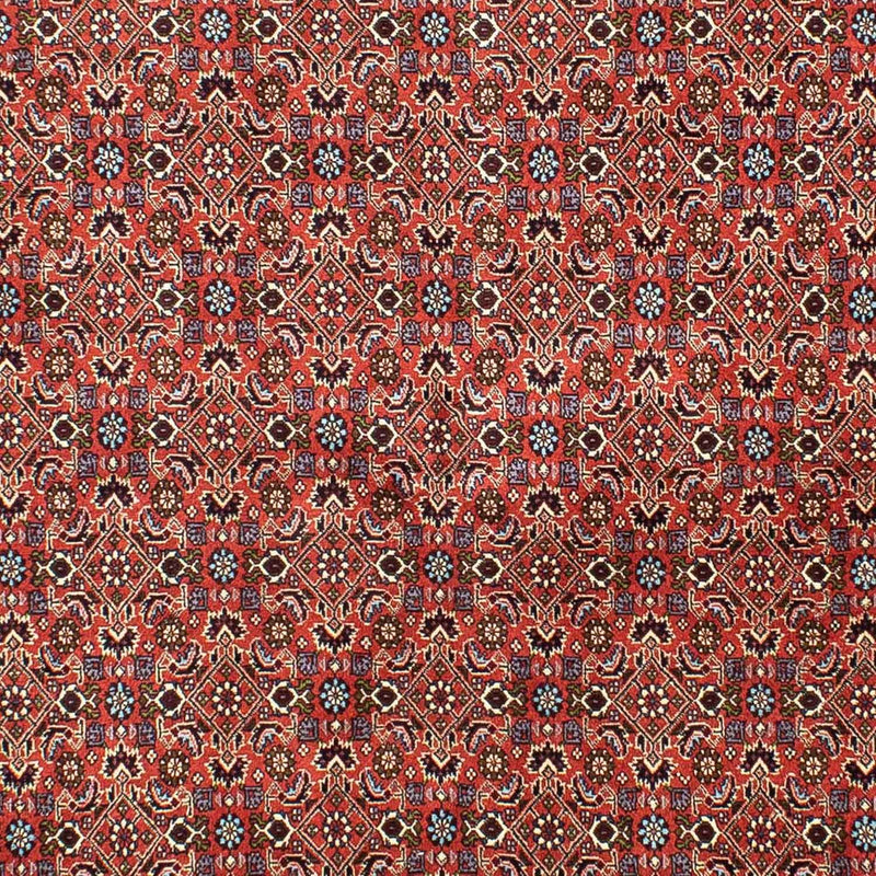 Tapis persan - Bidjar - 288 x 202 cm - rouge clair