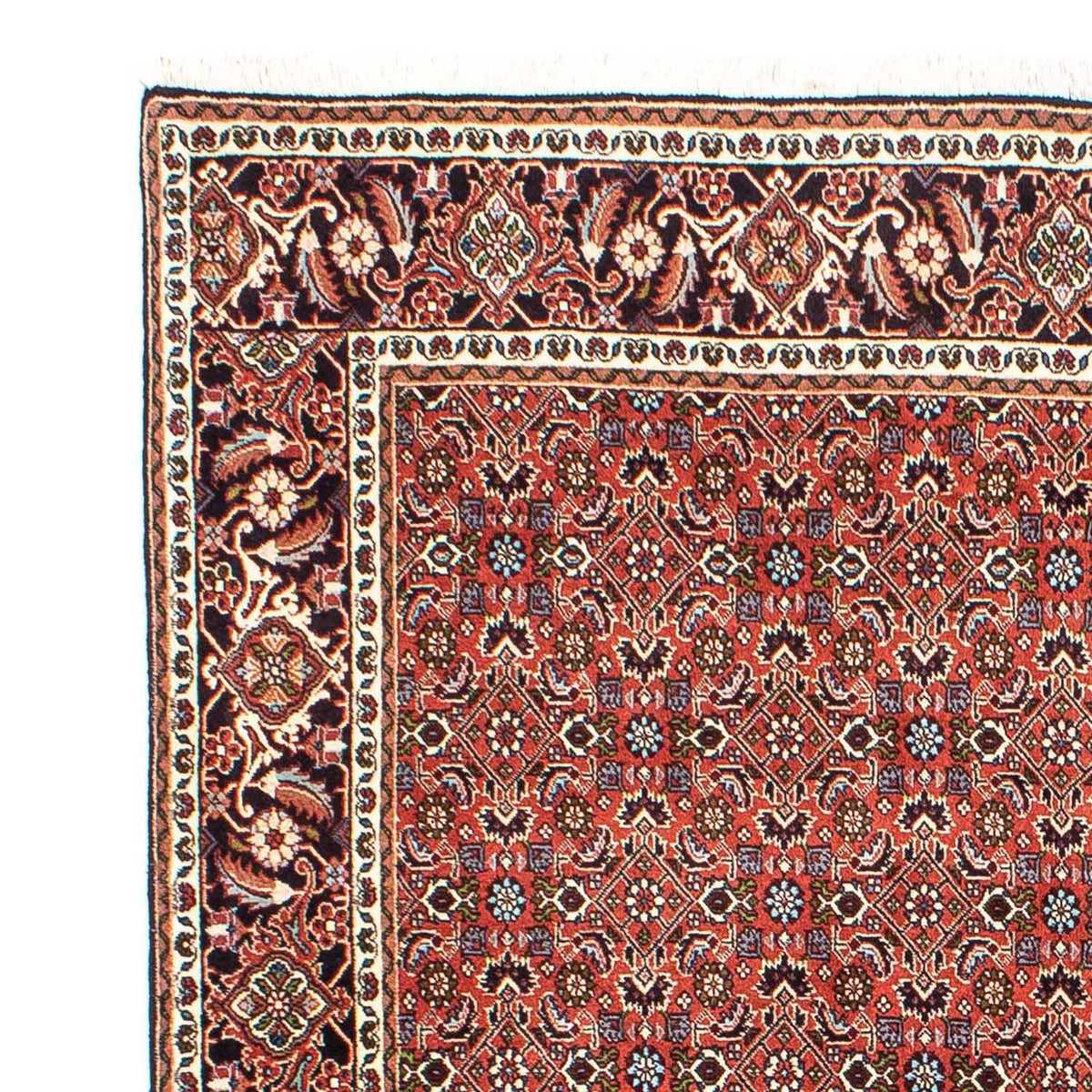 Tapis de Bidjar Tapis 202x288cm - Tapis persan