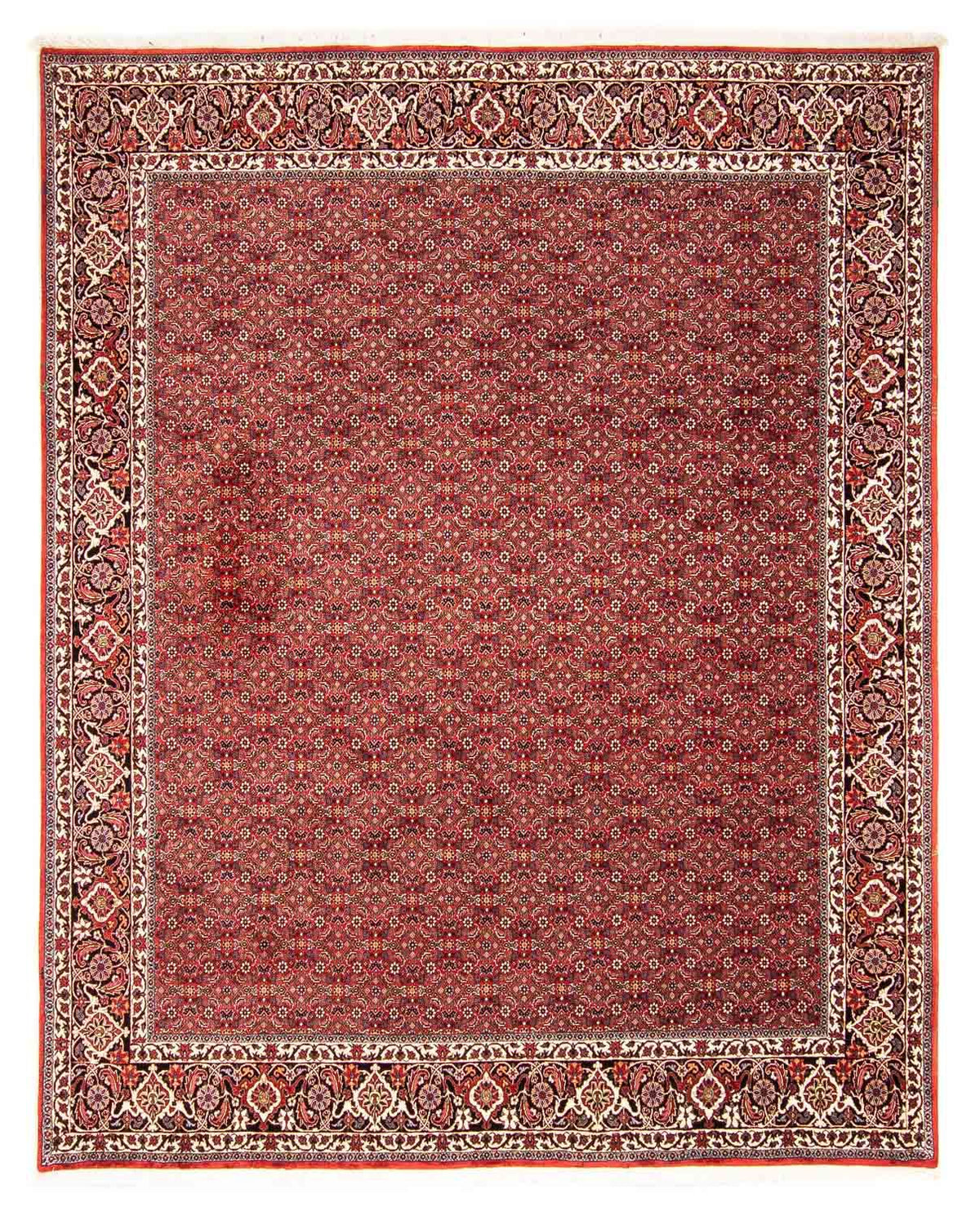 Tapis persan - Bidjar - 290 x 250 cm - rouge
