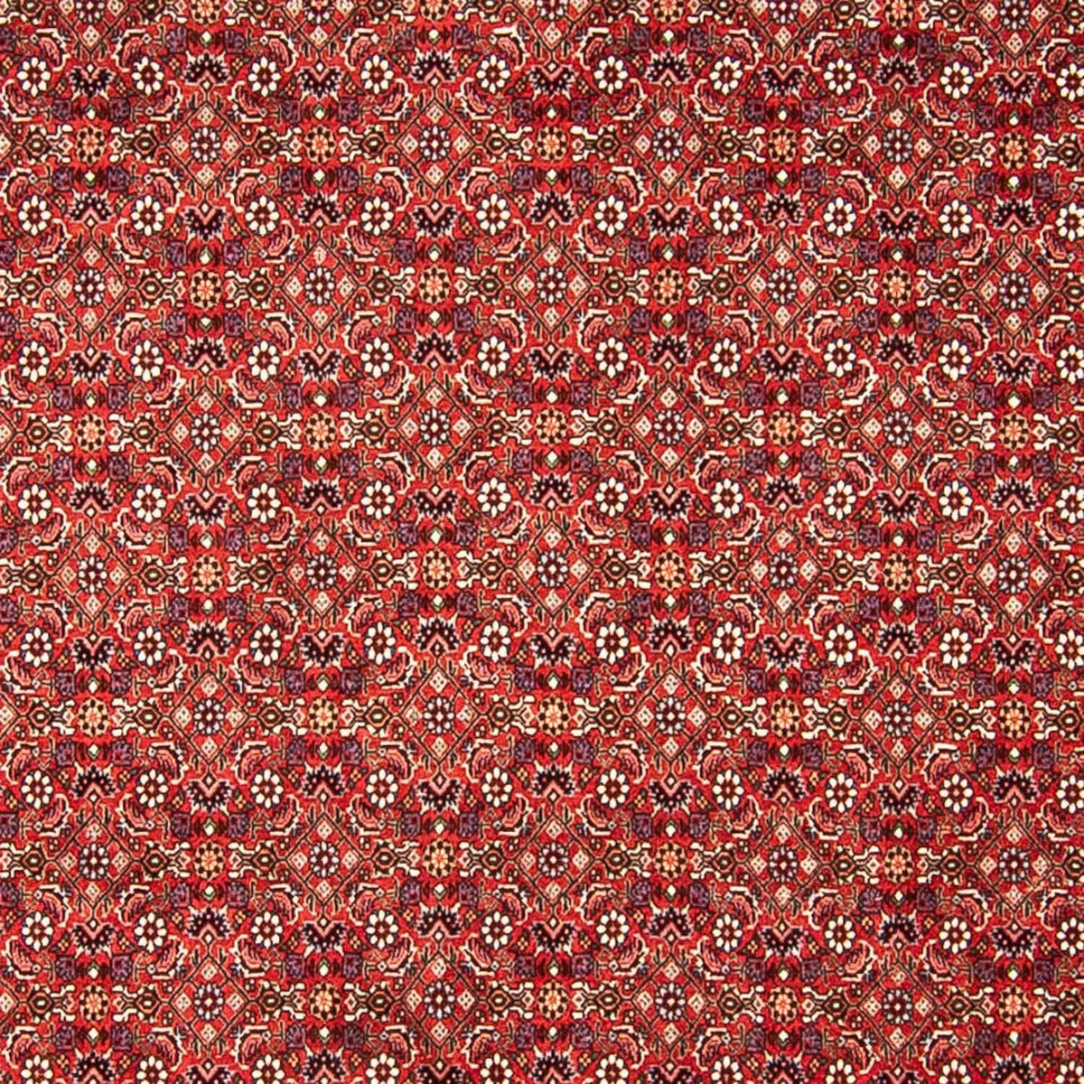 Tapis persan - Bidjar - 290 x 250 cm - rouge