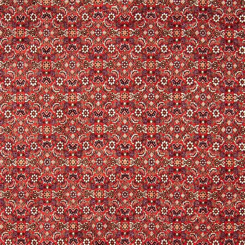 Tapis persan - Bidjar - 290 x 250 cm - rouge