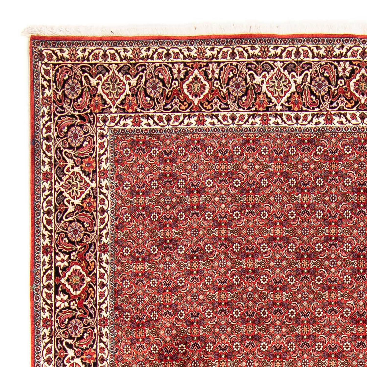 Tapis persan - Bidjar - 290 x 250 cm - rouge