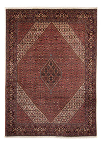 Tapis persan - Bidjar - 350 x 248 cm - marron
