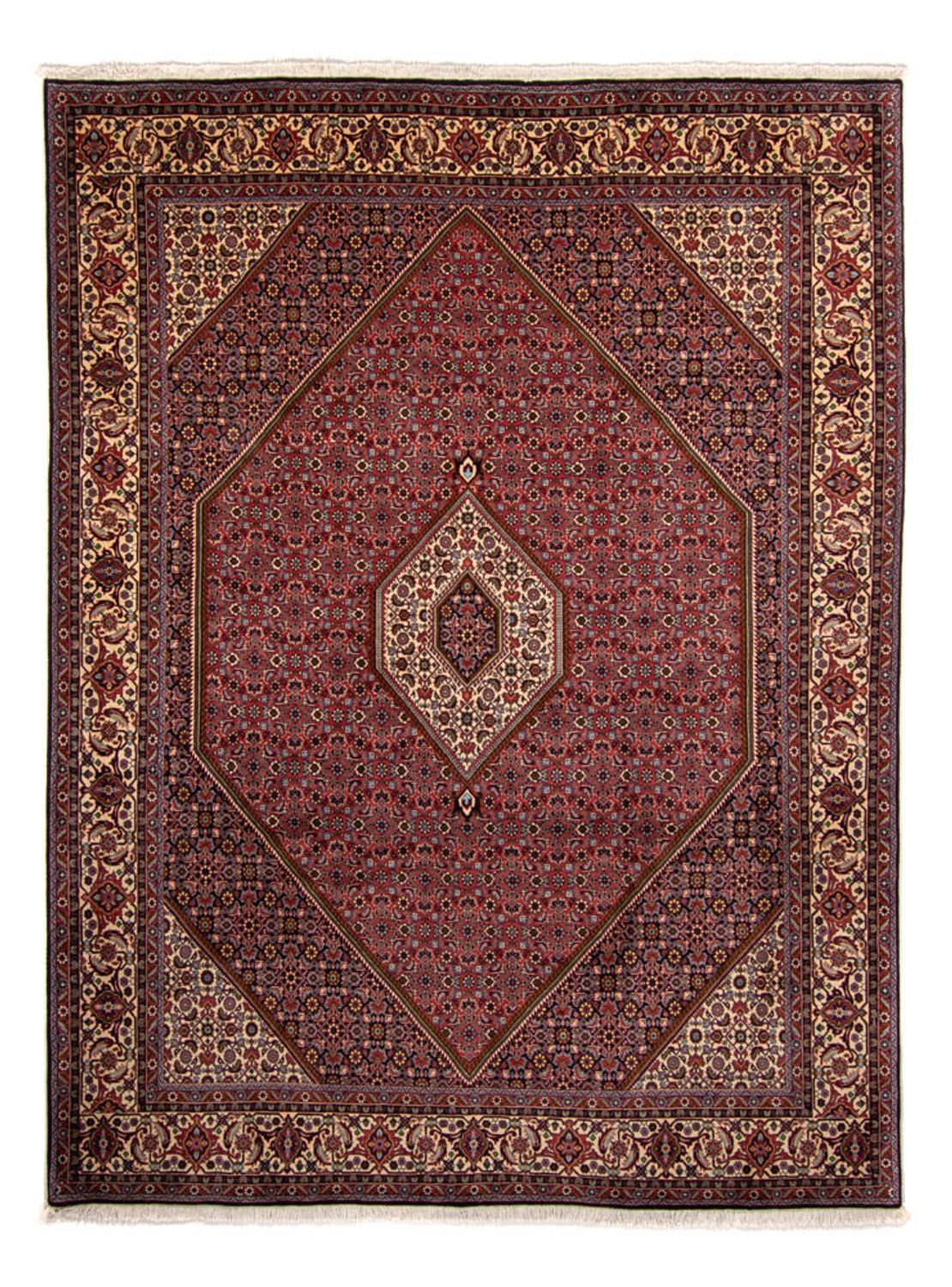 Tapis persan - Bidjar - 338 x 250 cm - marron