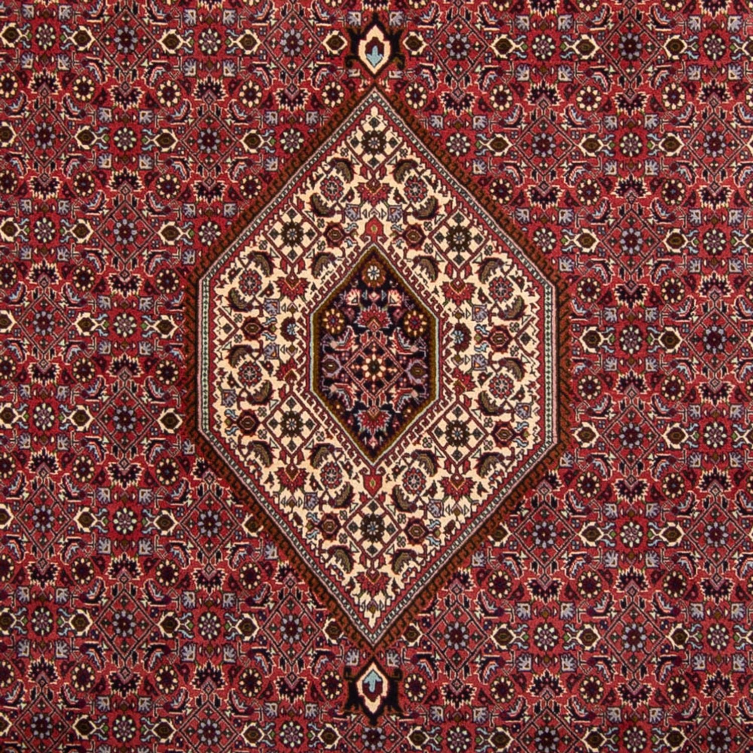 Tapis persan - Bidjar - 338 x 250 cm - marron