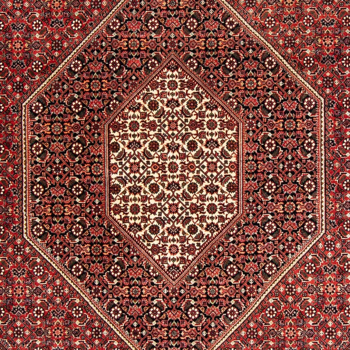 Tapis persan - Bidjar - 233 x 169 cm - rouge foncé