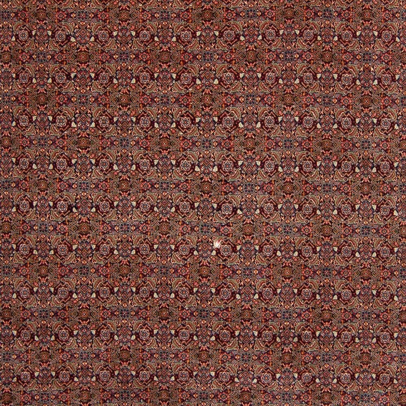 Tapis persan - Nomadic - 348 x 253 cm - marron