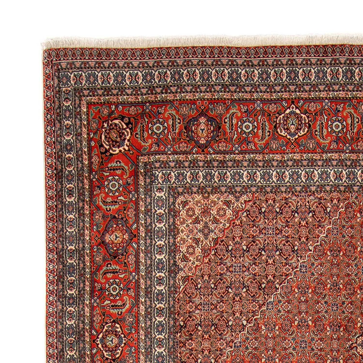 Tapis persan - Nomadic - 350 x 248 cm - rouge clair