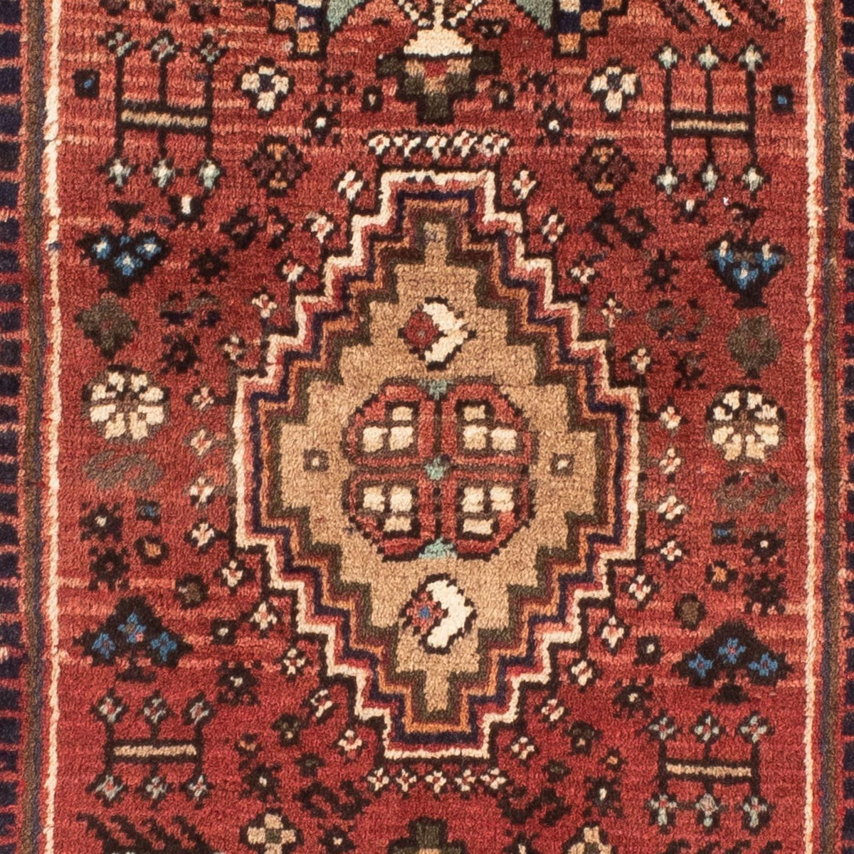 Tapis de couloir Tapis persan - Nomadic - 175 x 67 cm - marron