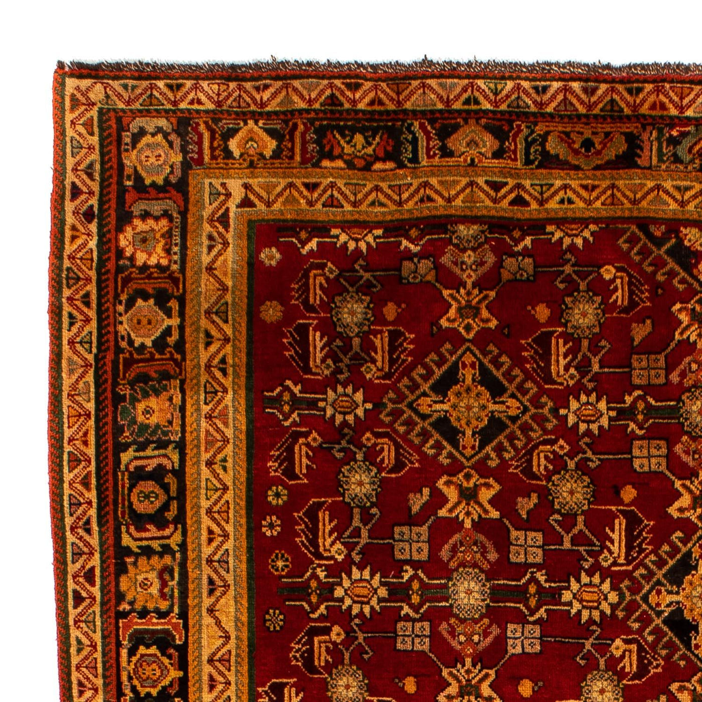 Tapis de Chiraz Tapis 296x190cm - Tapis persan