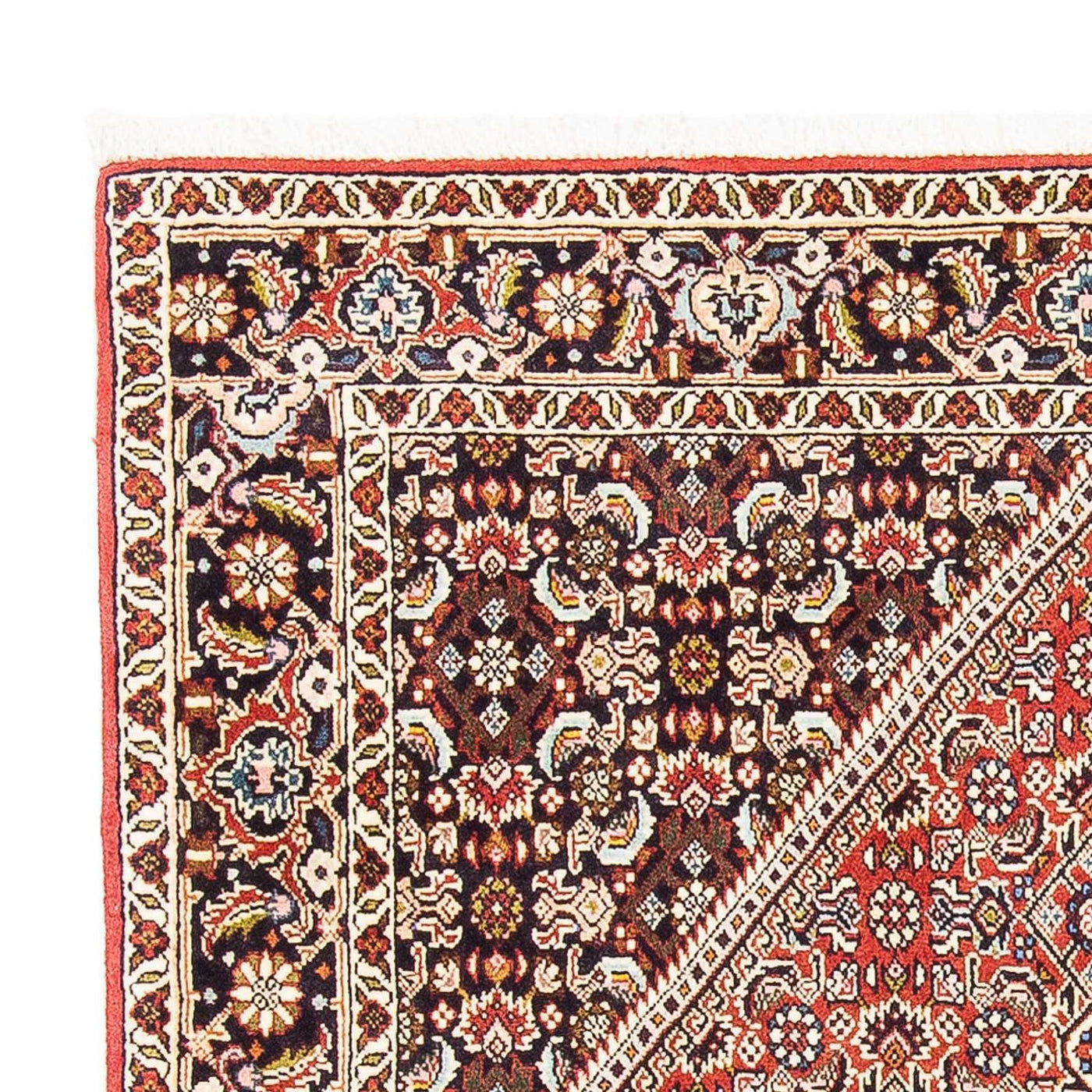 Bidjar - Zanjan Tapis 176x113cm - Tapis persan