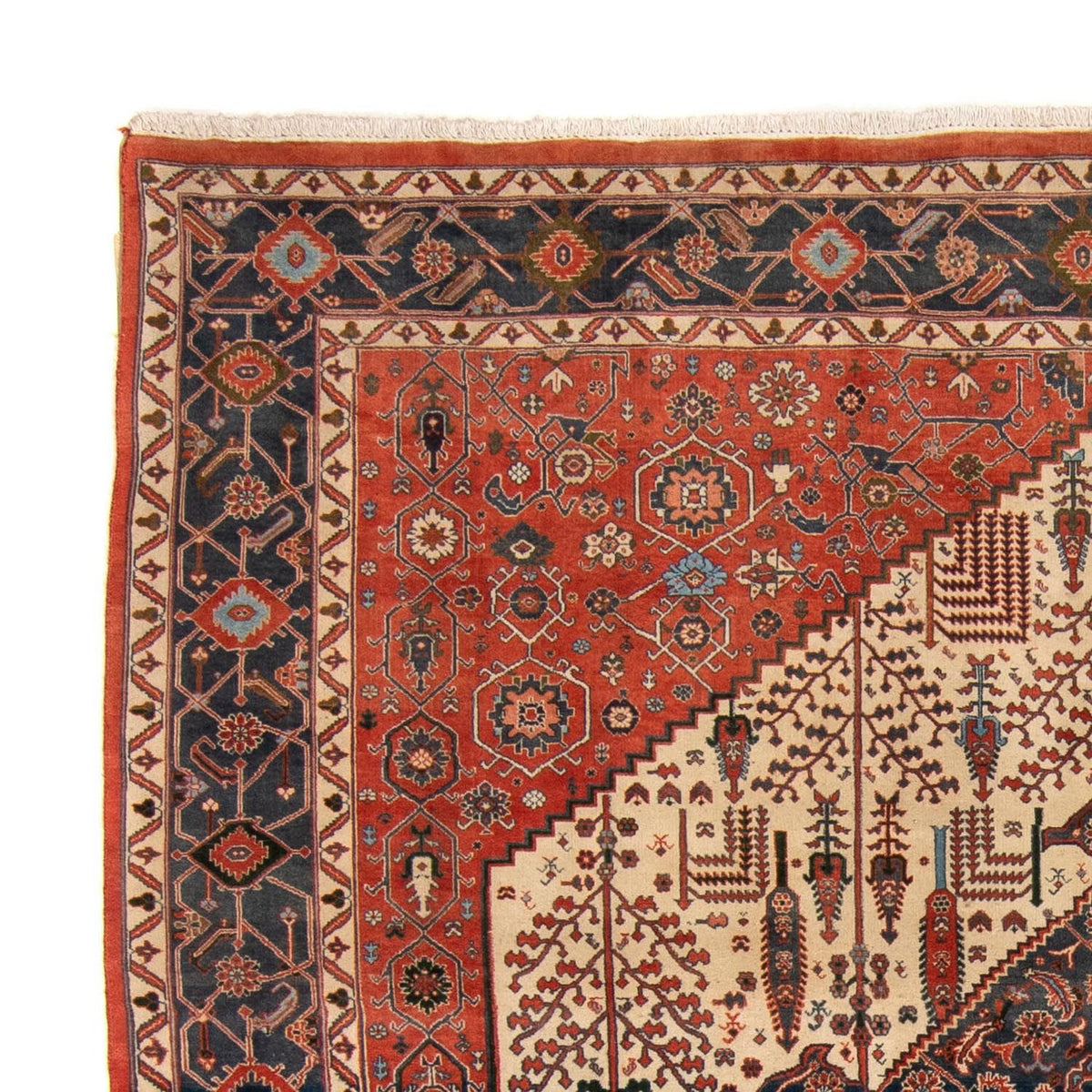 Kashkuli Tapis 230x258cm - Tapis persan