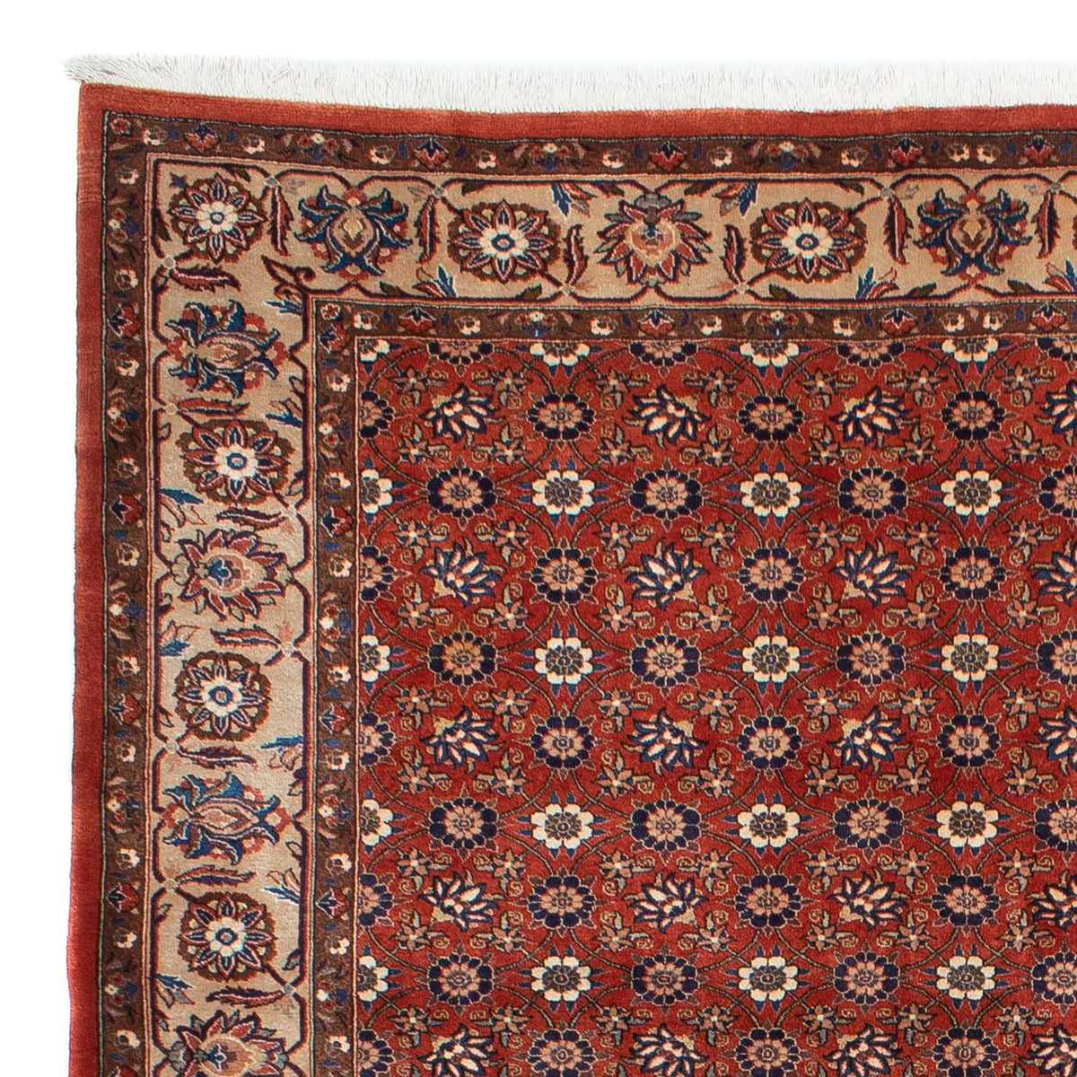 Varamin Tapis 223x301cm - Tapis persan