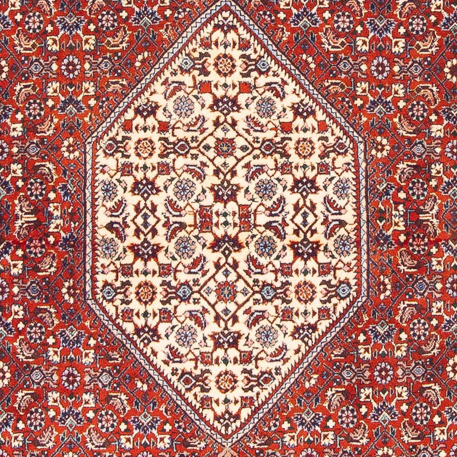 Tapis persan - Bidjar - 168 x 110 cm - rouge