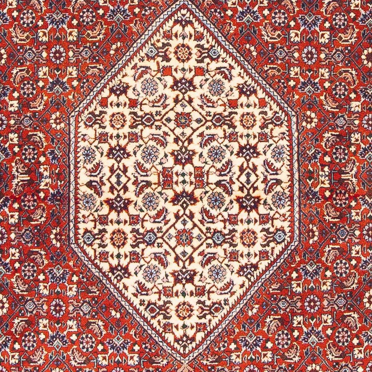 Tapis persan - Bidjar - 168 x 110 cm - rouge