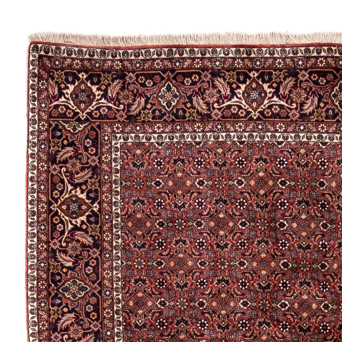 Bidjar - Takab Tapis 293x200cm - Tapis persan