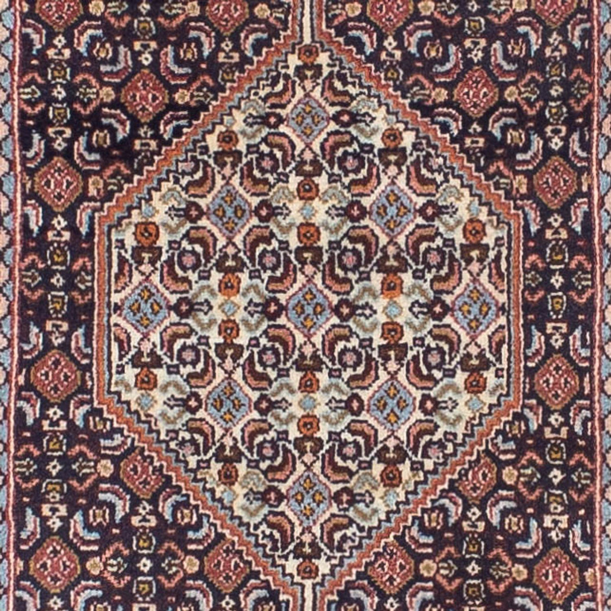 Tapis de couloir Tapis persan - Classique - 244 x 56 cm - multicolore