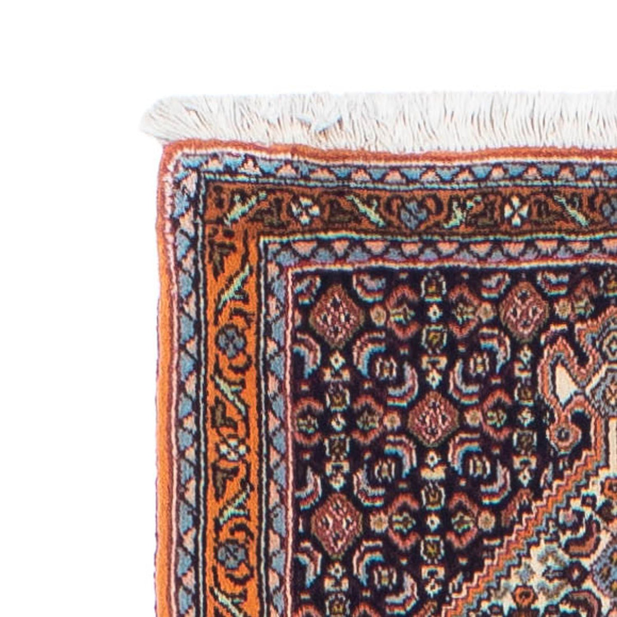 Tapis de couloir Tapis persan - Classique - 244 x 56 cm - multicolore