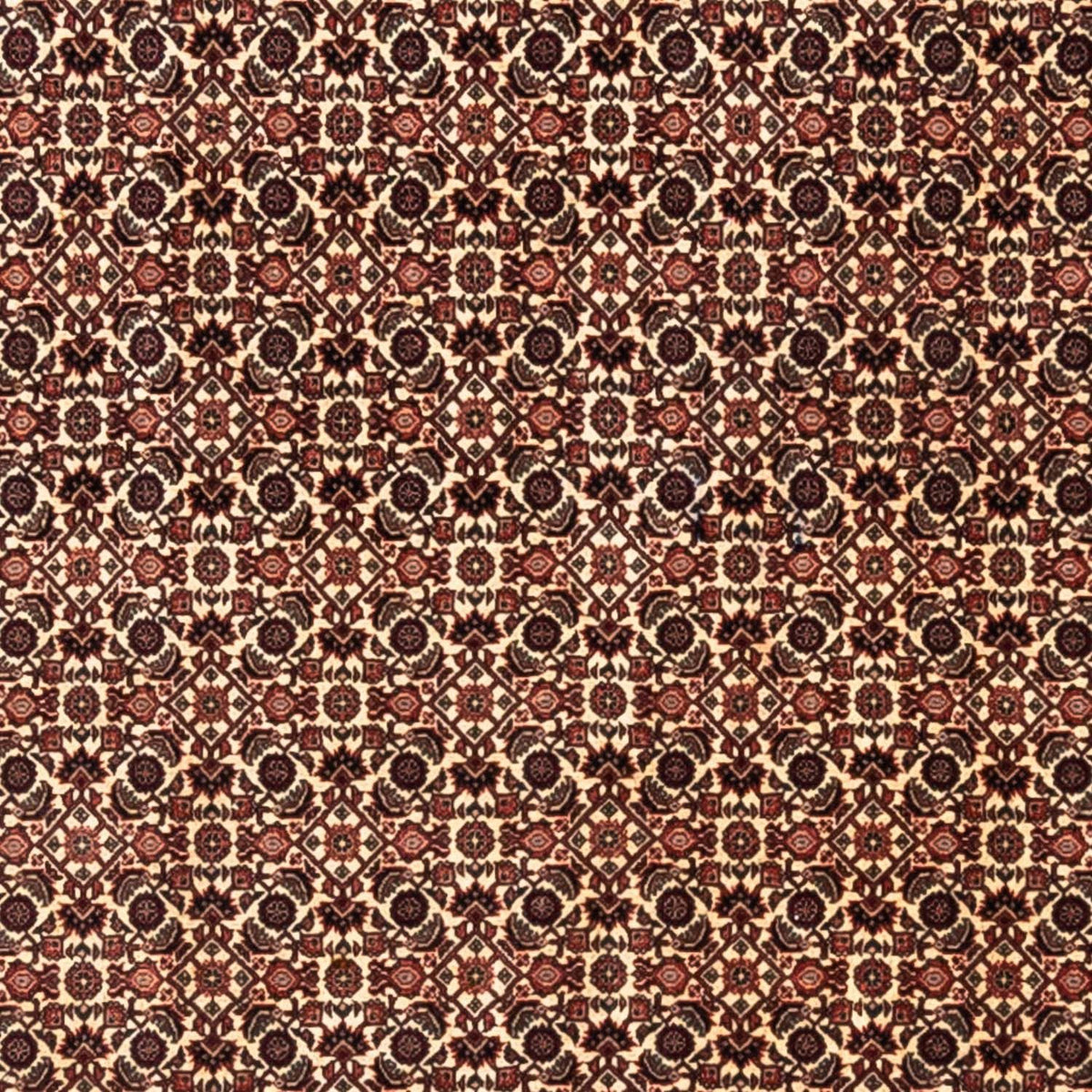 Tapis persan - Bidjar - 287 x 208 cm - beige