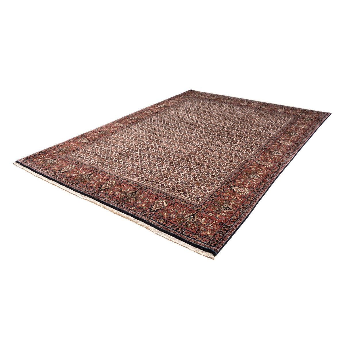 Tapis persan - Bidjar - 287 x 208 cm - beige