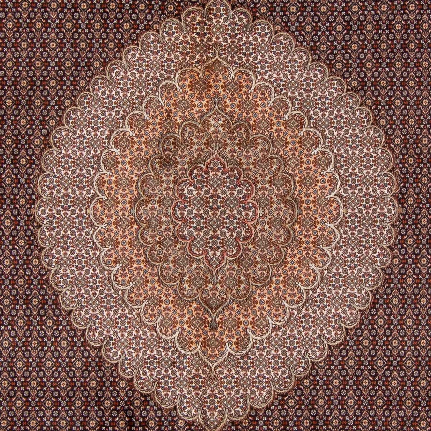 Tapis persan - Tabriz - 350 x 250 cm - marron clair