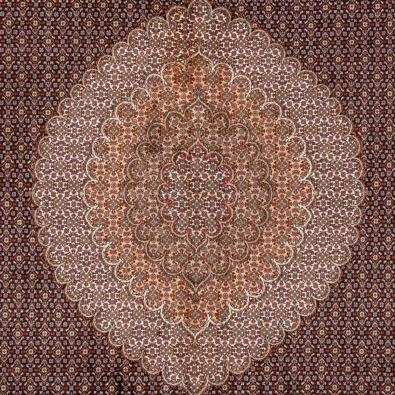 Tapis persan - Tabriz - 350 x 250 cm - marron clair
