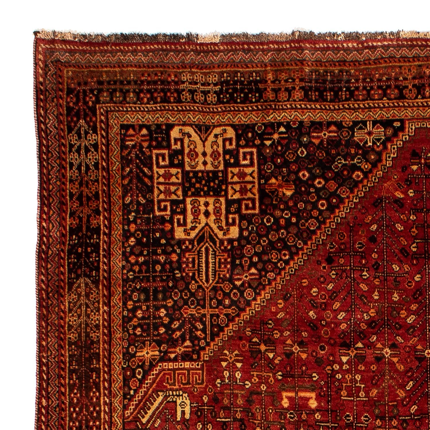 Tapis persan - Nomadic - 288 x 210 cm - rouge foncé