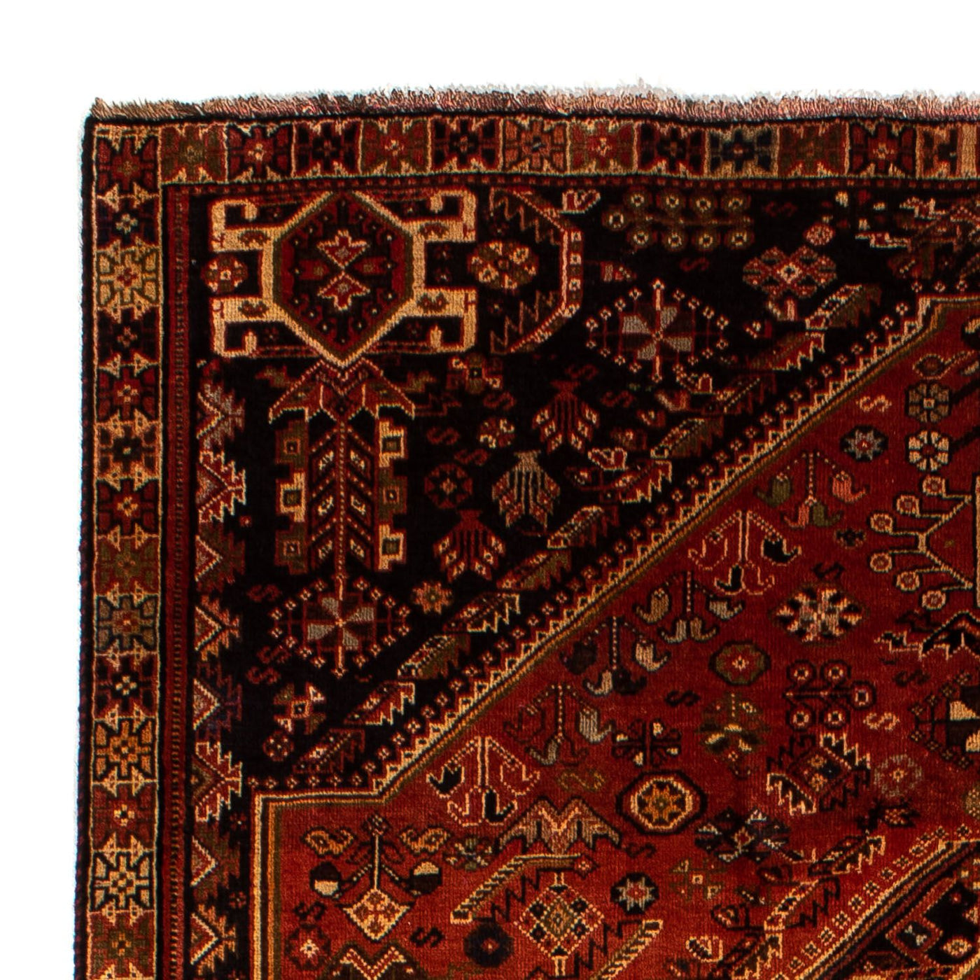 Tapis de Chiraz Tapis 290x185cm - Tapis persan
