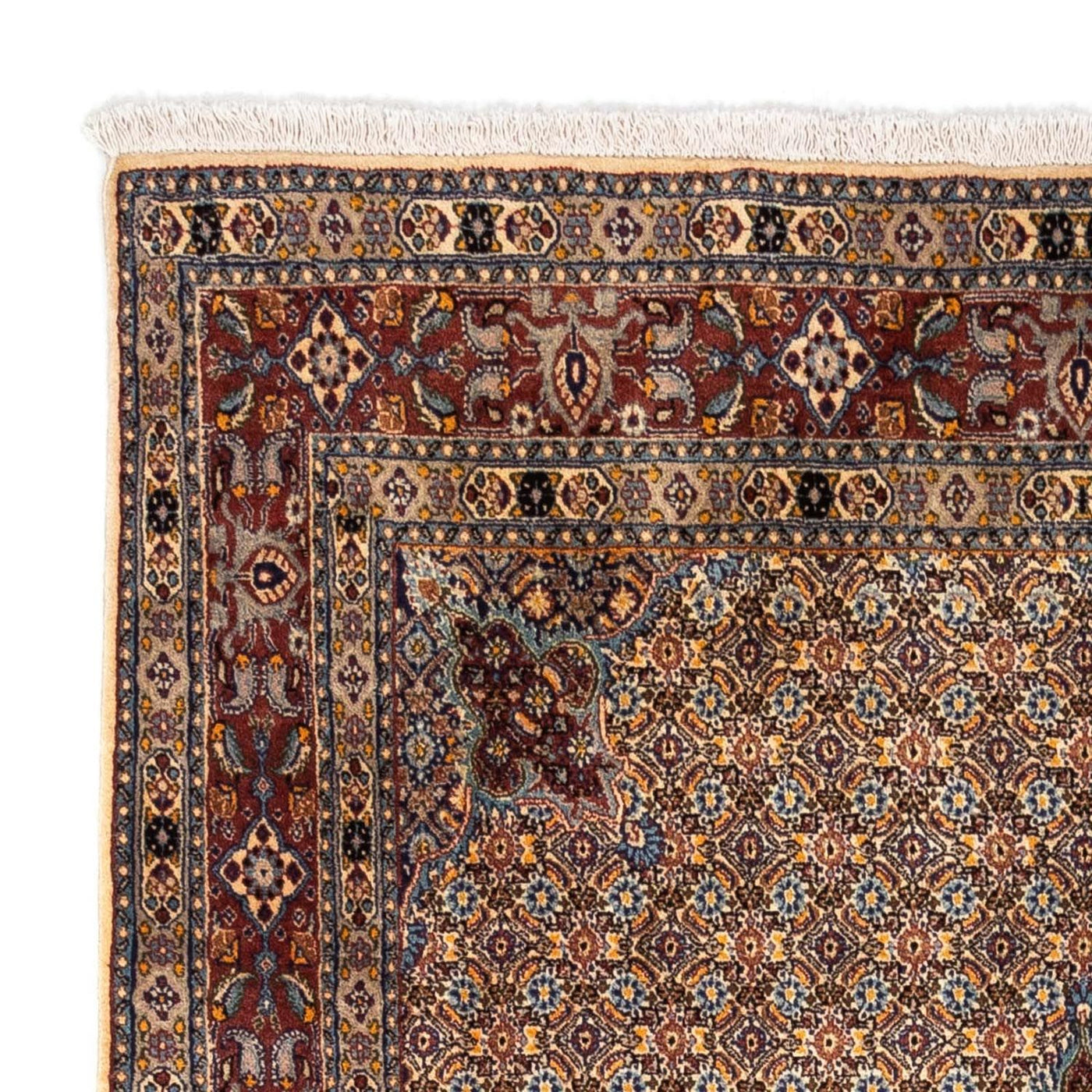 Tapis de Moud Tapis 238x160cm - Tapis persan