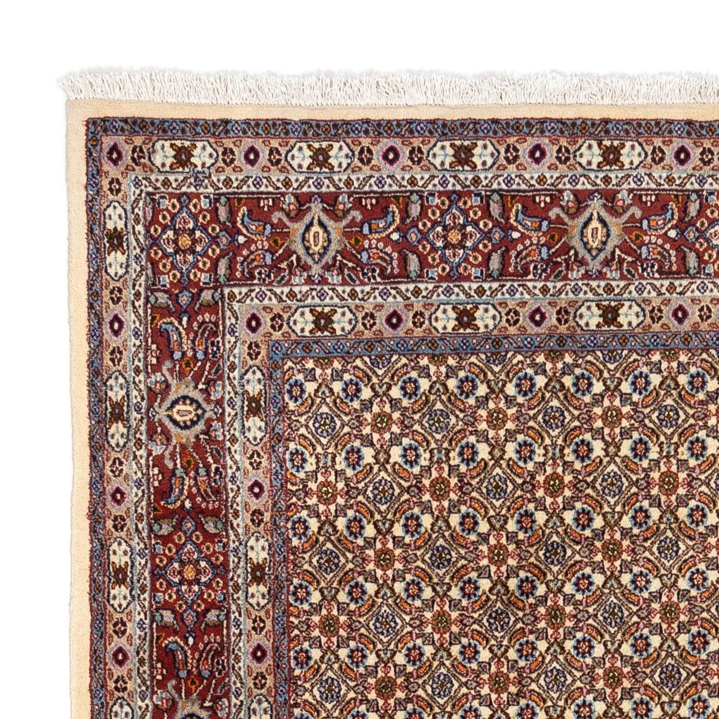 Tapis de Moud Tapis 238x167cm - Tapis persan