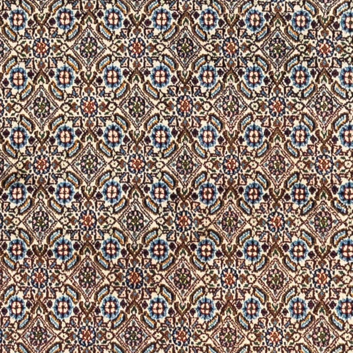 Tapis persan - Classique - 242 x 155 cm - beige