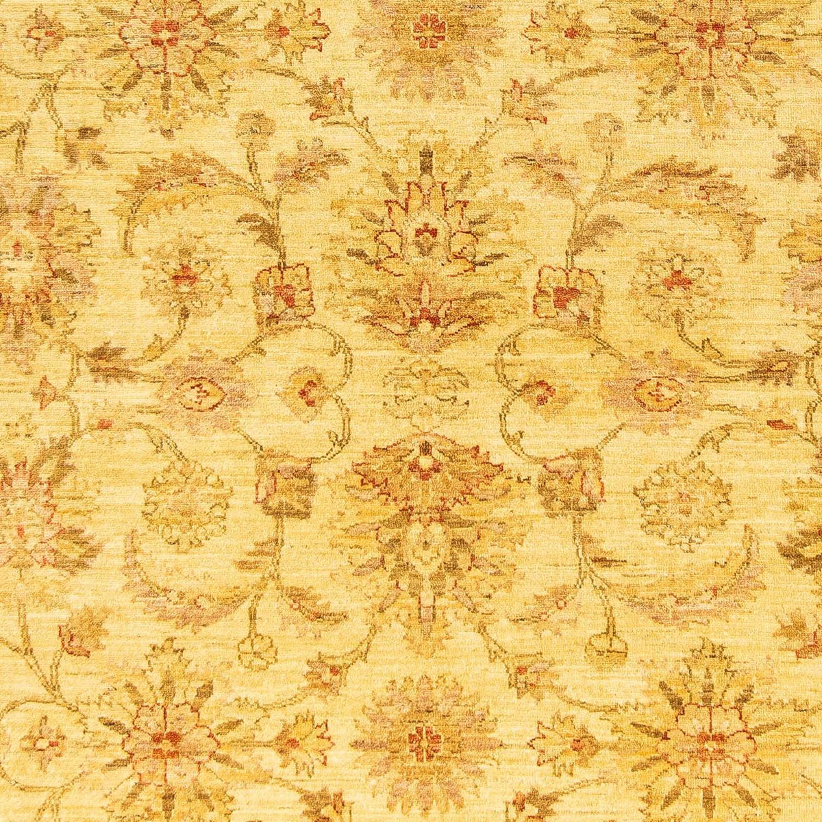 Tapis Ziegler - 259 x 196 cm - beige