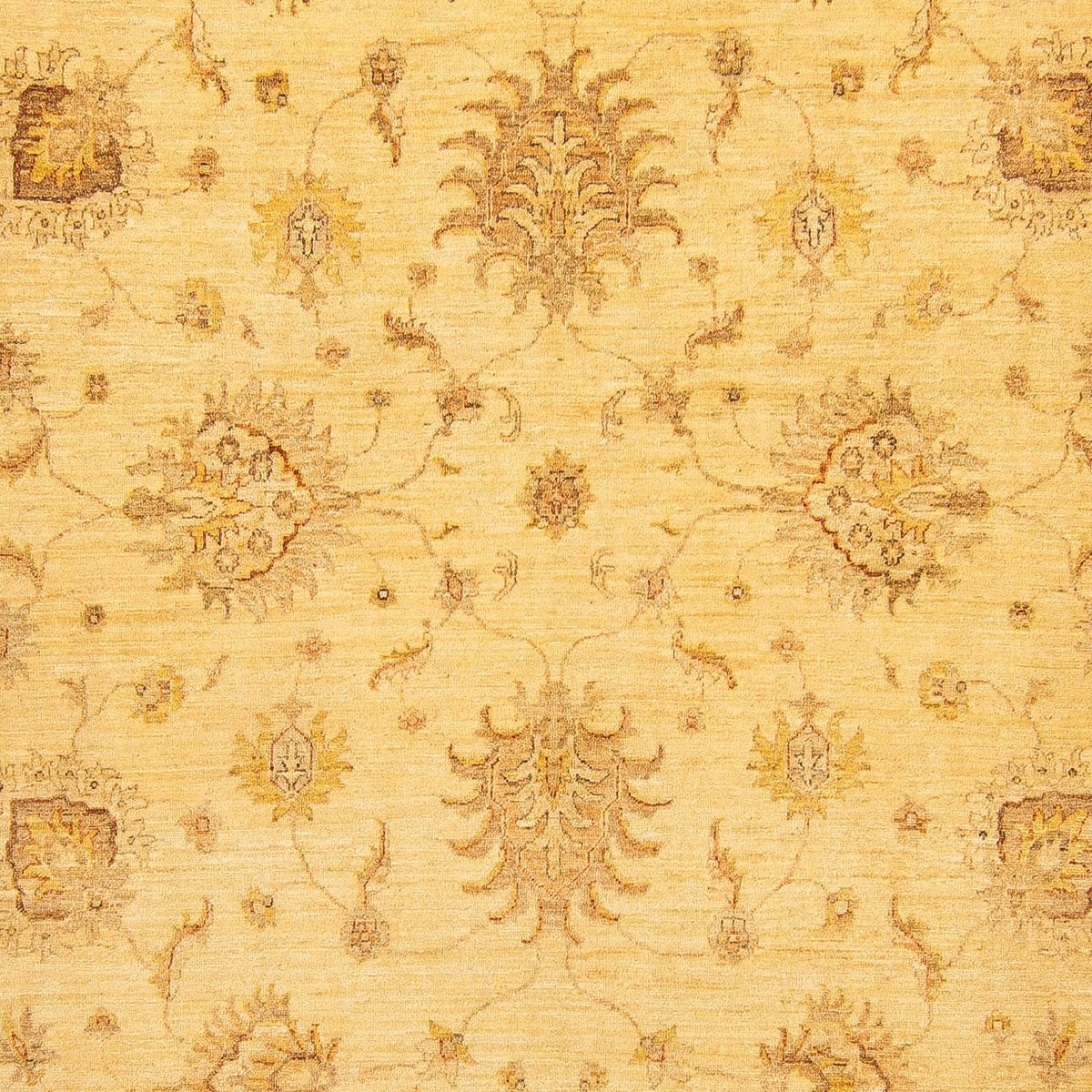 Tapis Ziegler - 368 x 254 cm - beige