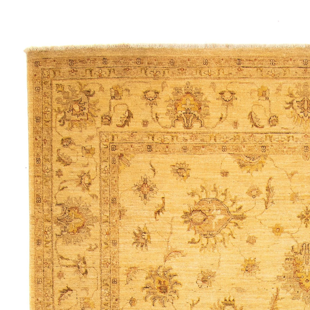 Tapis Ziegler - 368 x 254 cm - beige