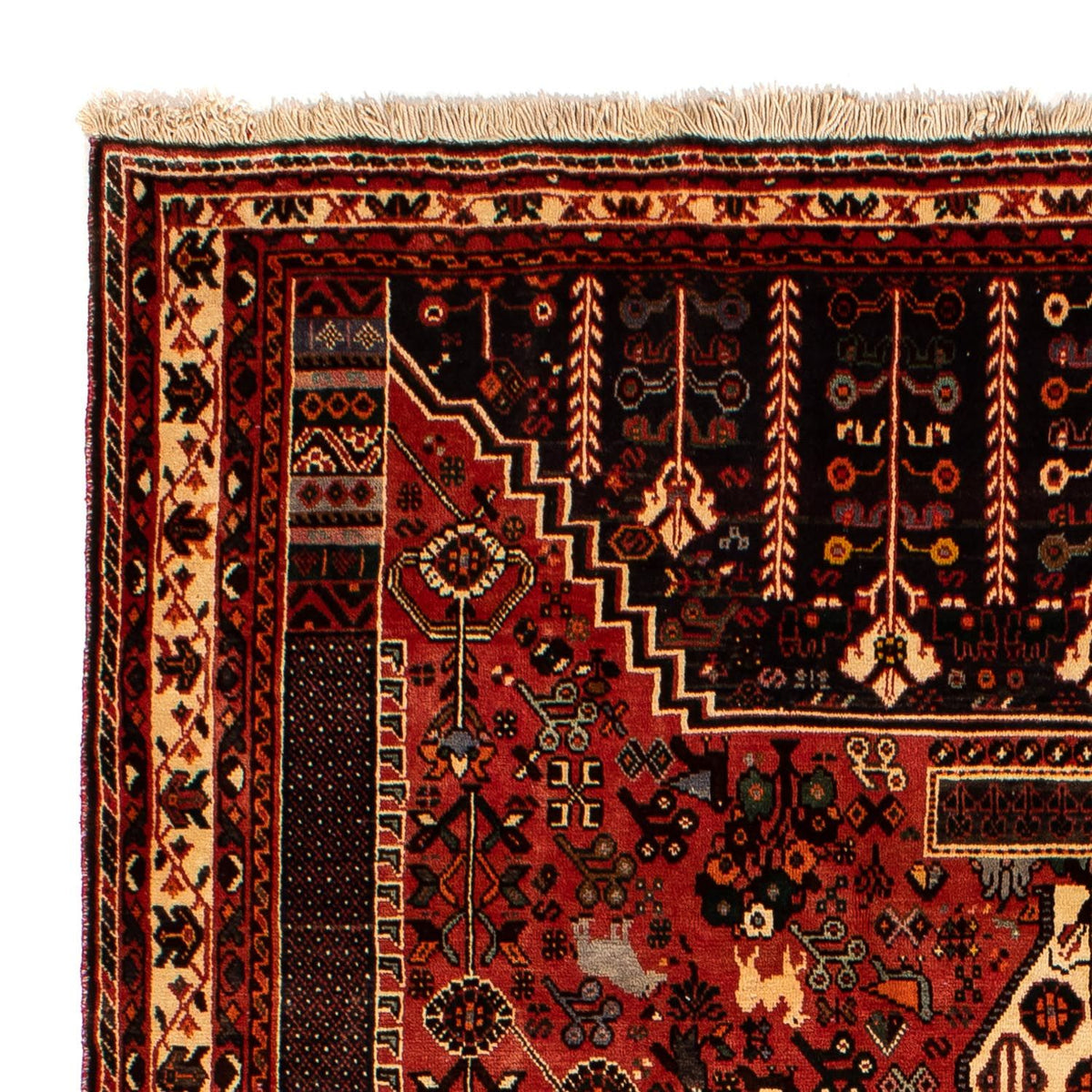 Qashqai Tapis 207x297cm - Tapis persan