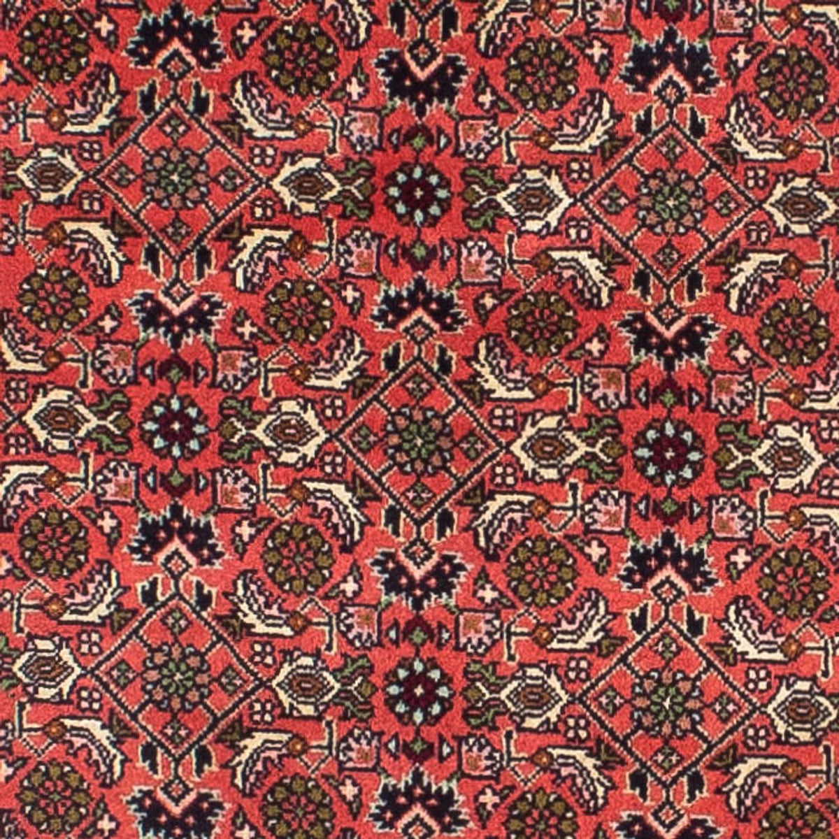 Tapis de couloir Tapis persan - Bidjar - 248 x 71 cm - rouge clair