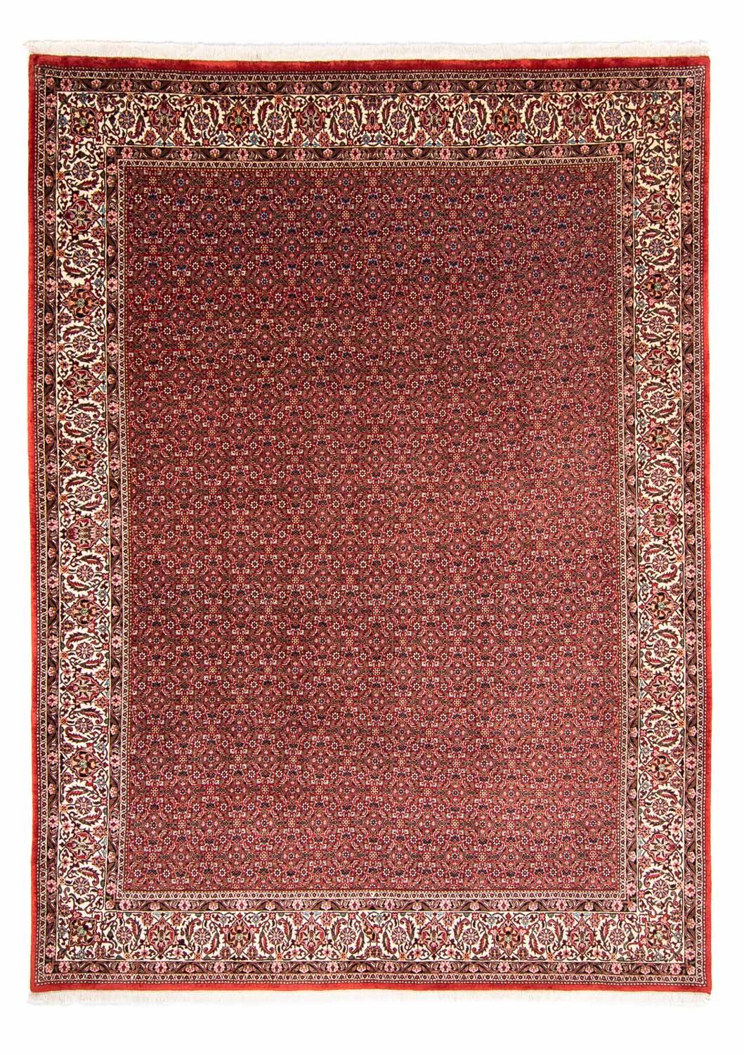 Tapis persan - Bidjar - 330 x 246 cm - rouge