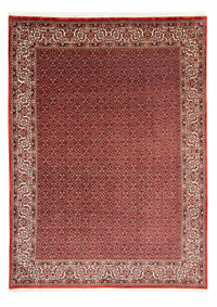 Tapis persan - Bidjar - 330 x 246 cm - rouge