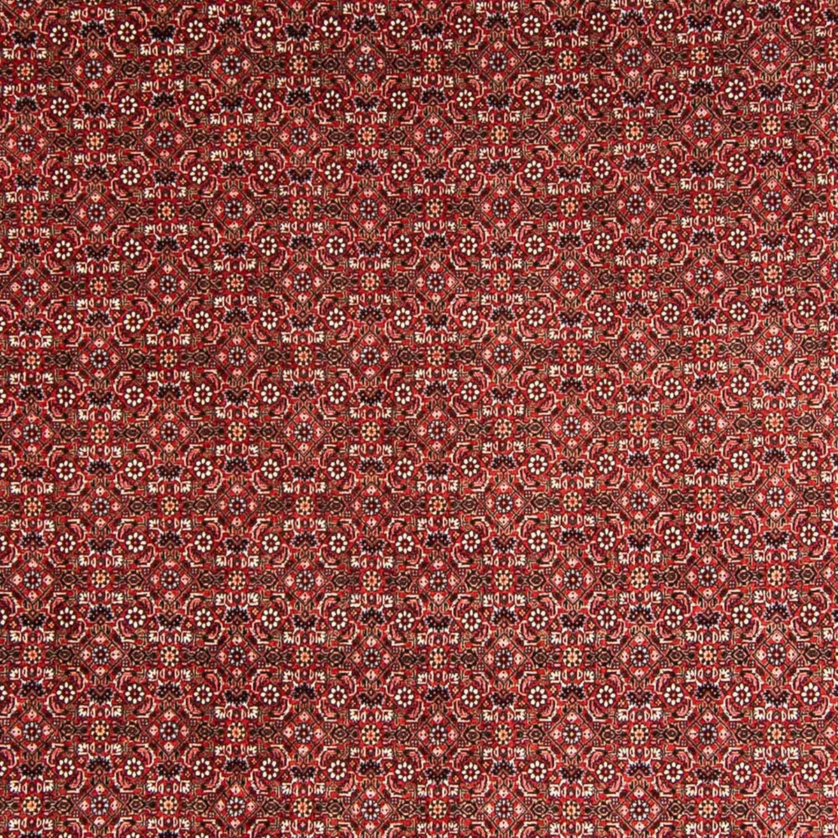 Tapis persan - Bidjar - 330 x 246 cm - rouge