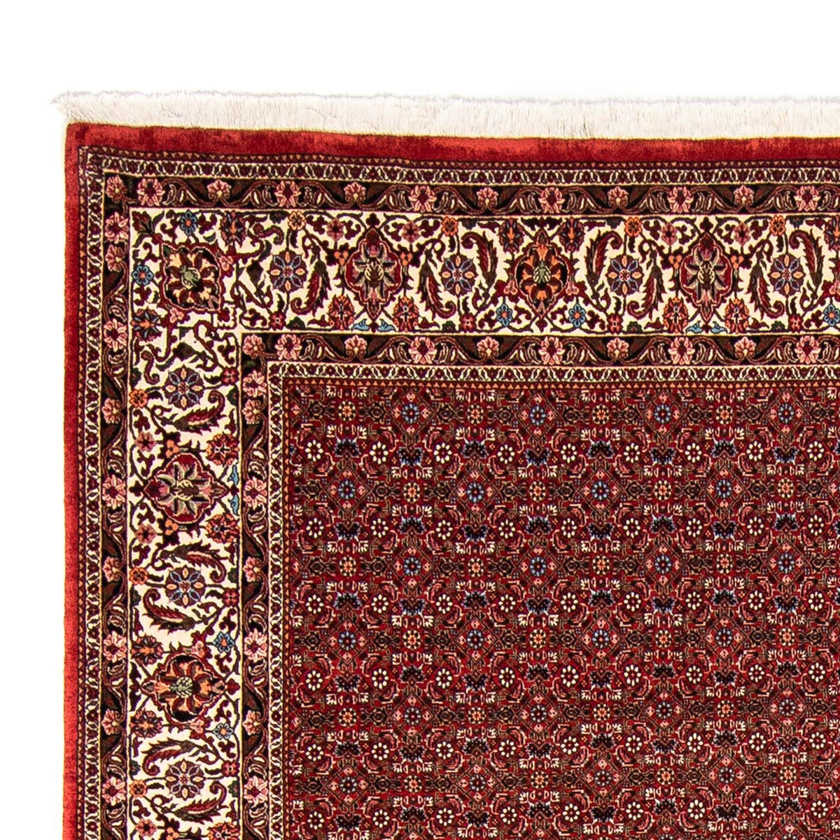 Tapis persan - Bidjar - 330 x 246 cm - rouge