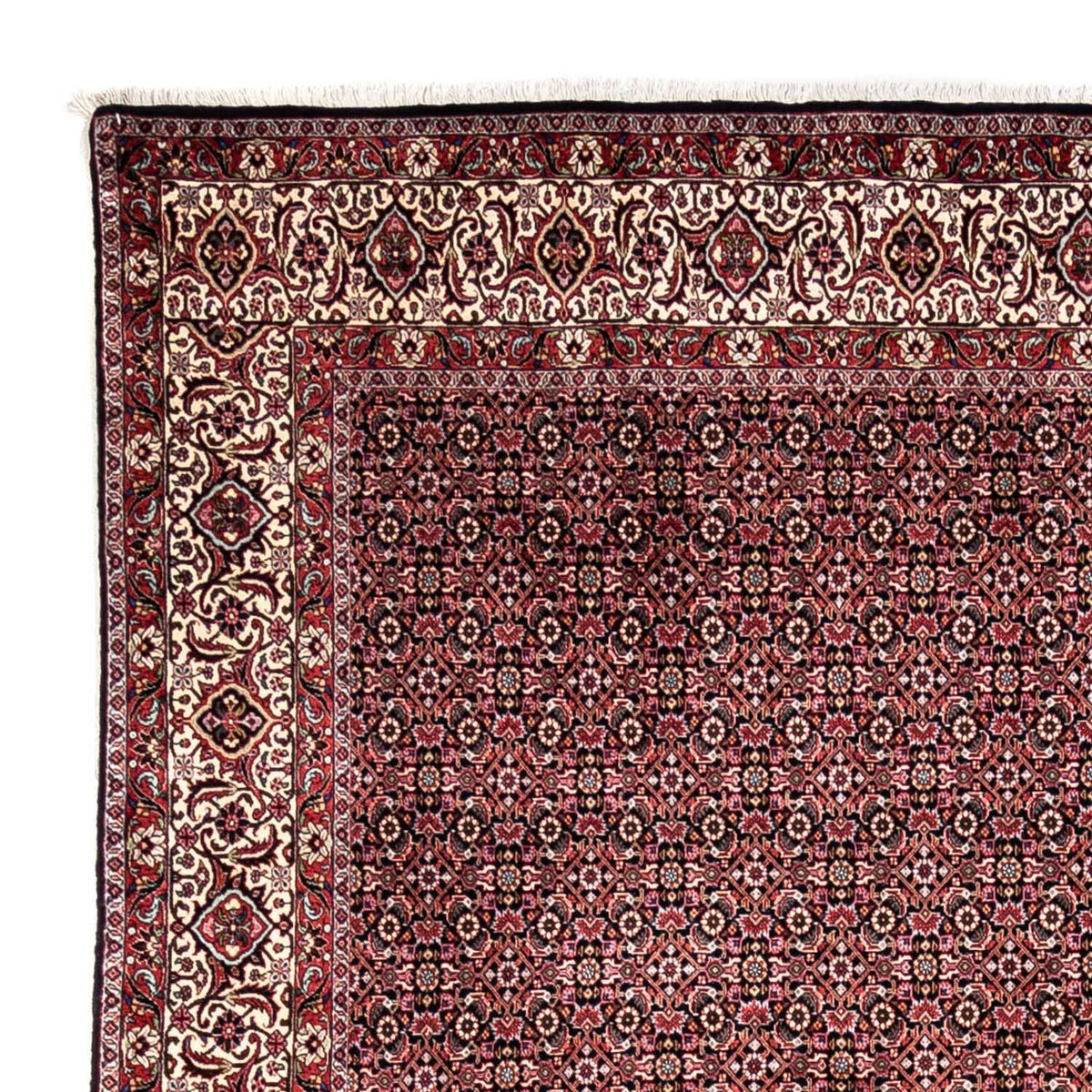 Bidjar - Takab Tapis 246x345cm - Tapis persan