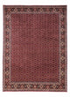 Bidjar - Takab Tapis 349x250cm - Tapis persan