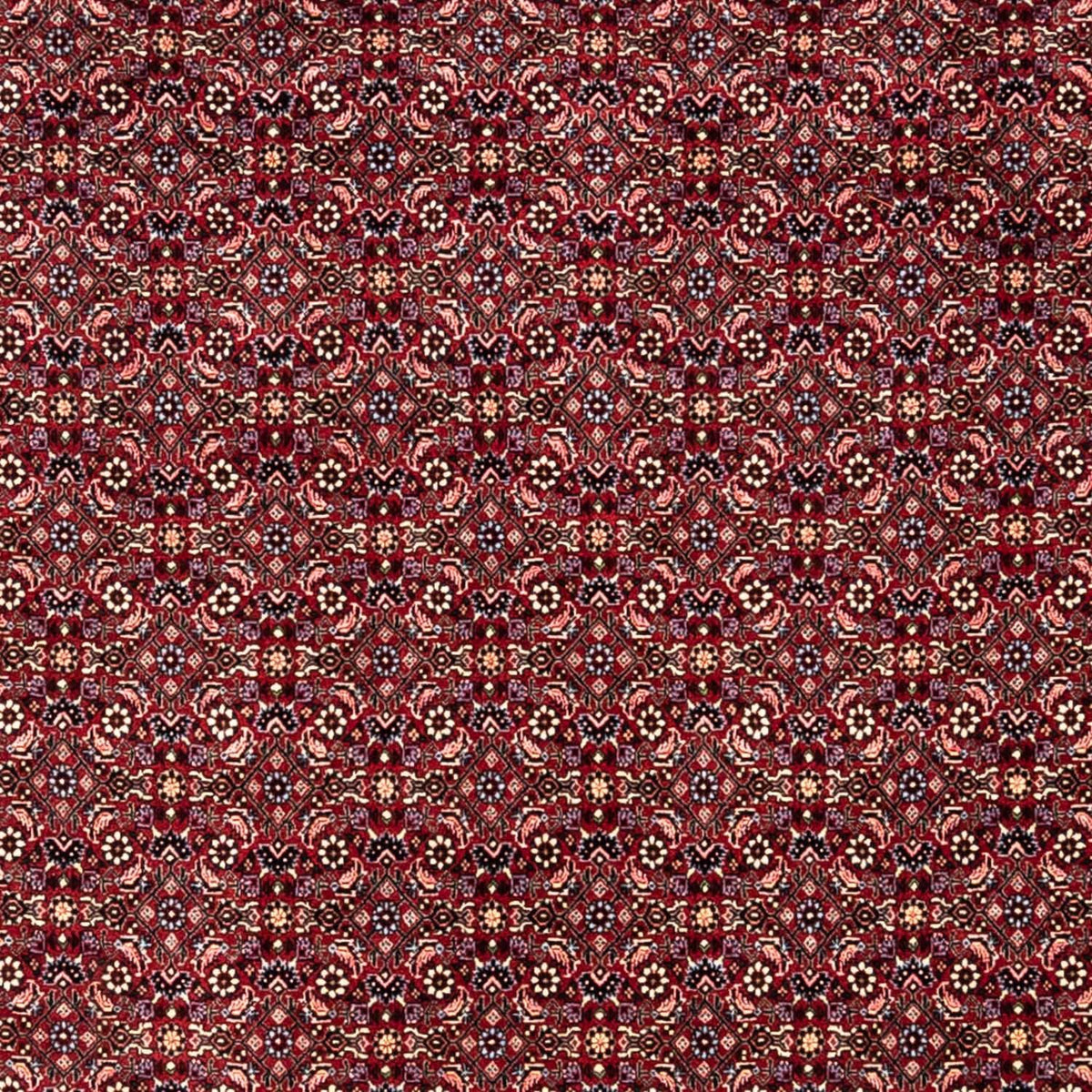 Tapis persan - Bidjar - 349 x 250 cm - rouge