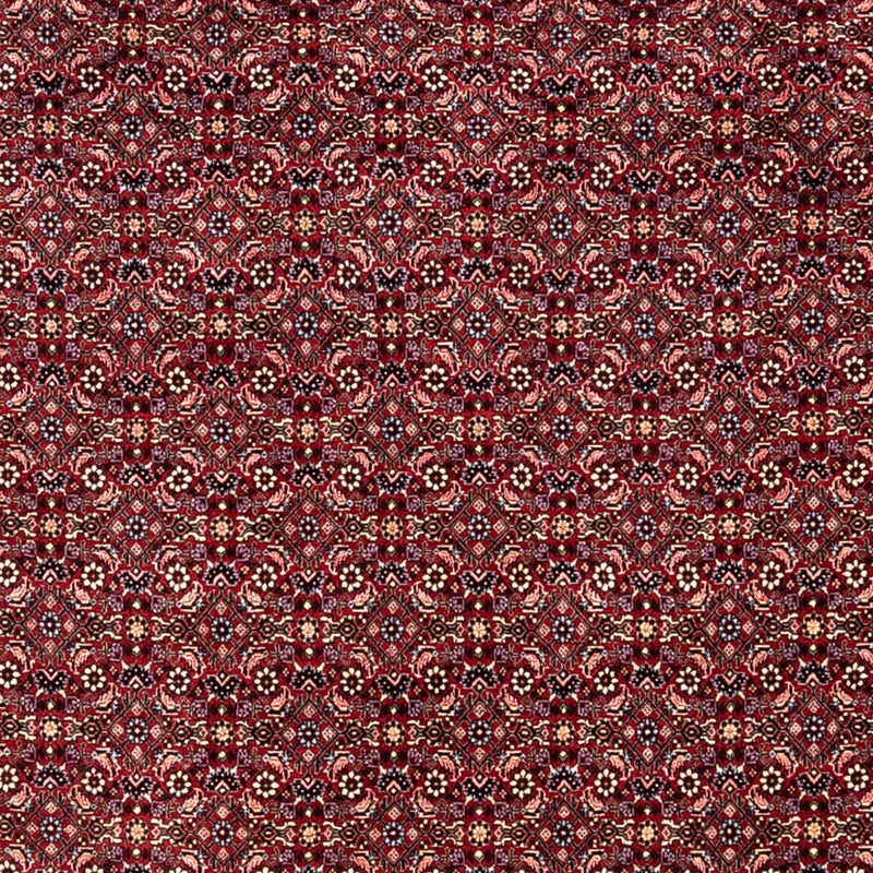 Tapis persan - Bidjar - 349 x 250 cm - rouge