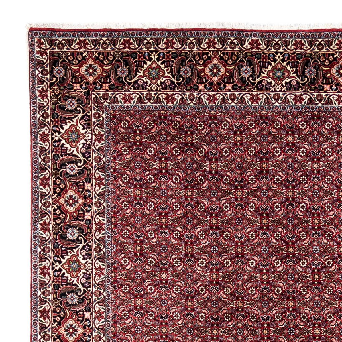 Tapis persan - Bidjar - 349 x 250 cm - rouge