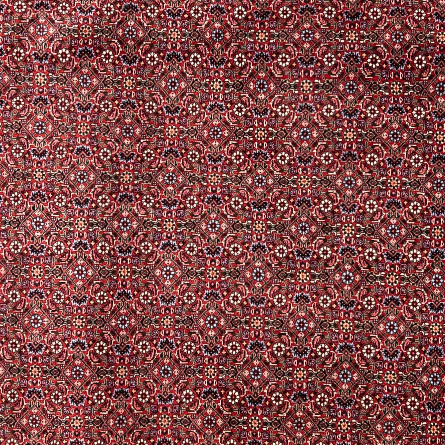 Tapis persan - Bidjar - 335 x 255 cm - rouge