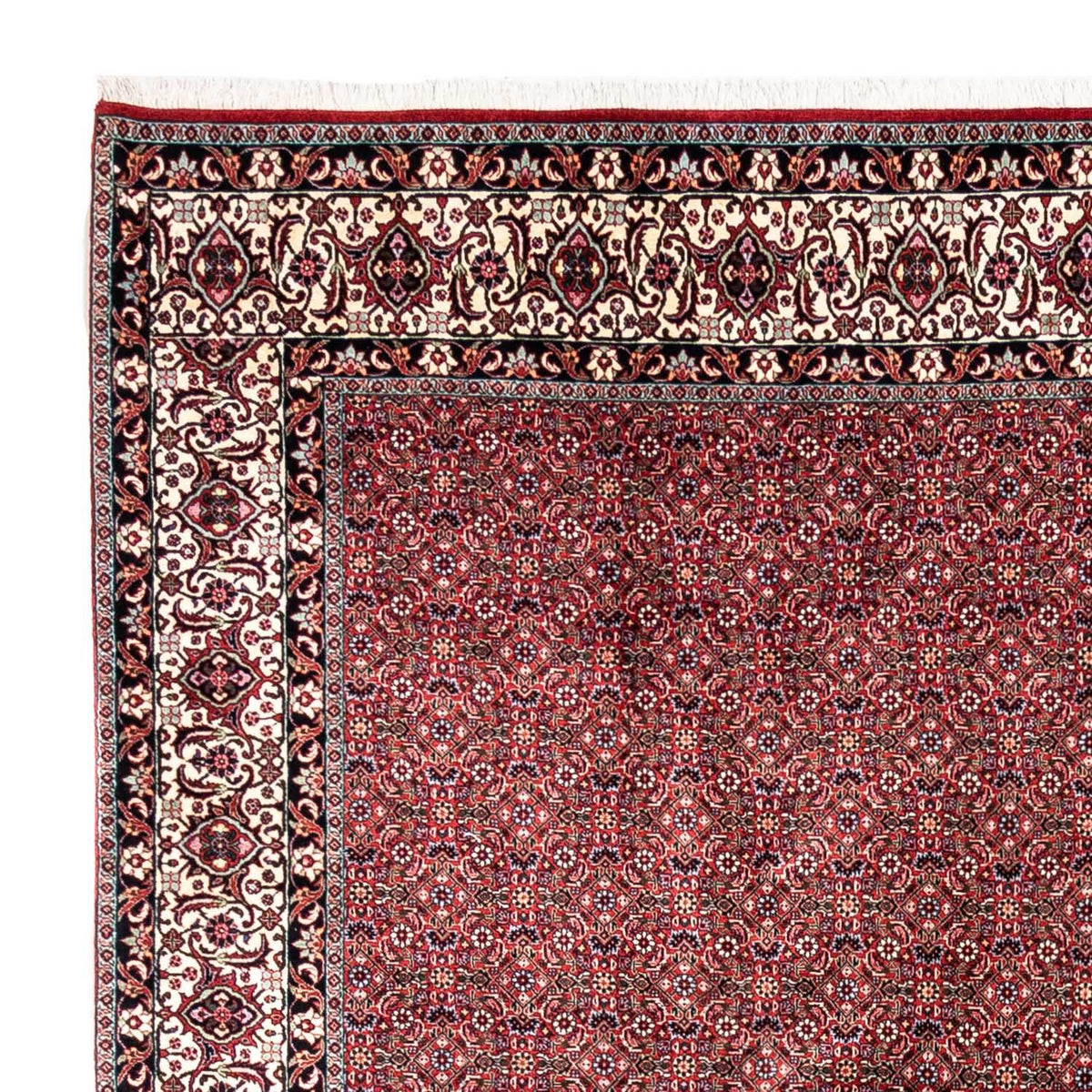 Tapis persan - Bidjar - 335 x 255 cm - rouge