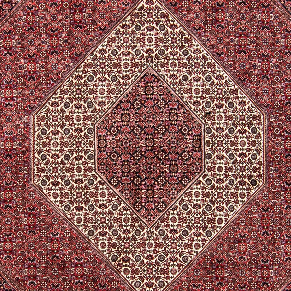 Tapis persan - Bidjar - 293 x 248 cm - rouge clair