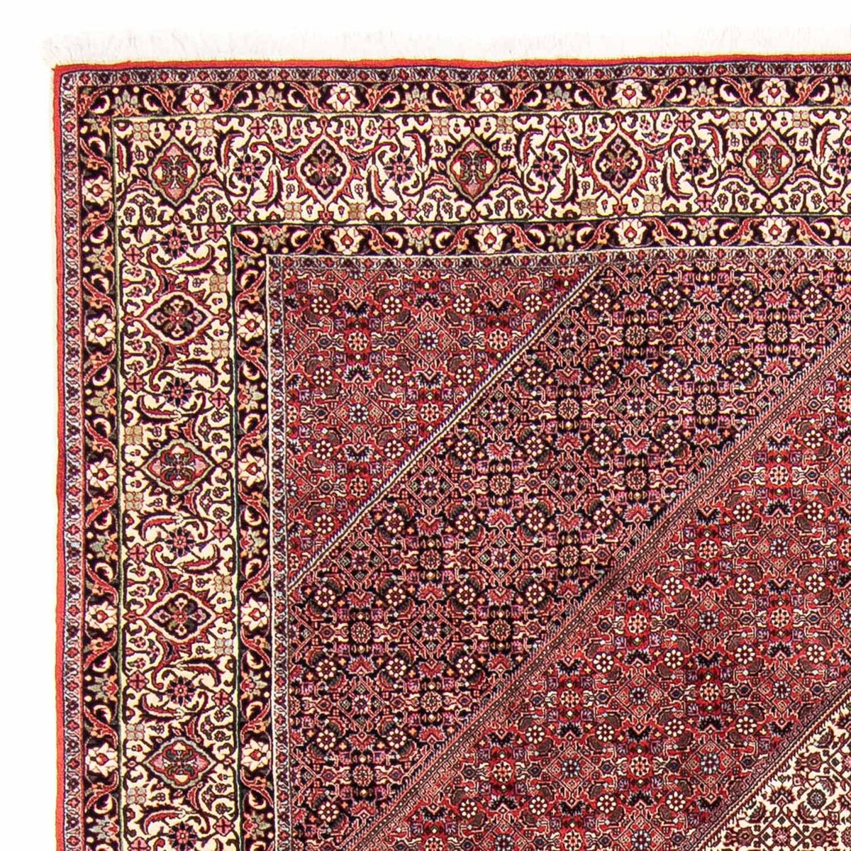 Tapis persan - Bidjar - 293 x 248 cm - rouge clair